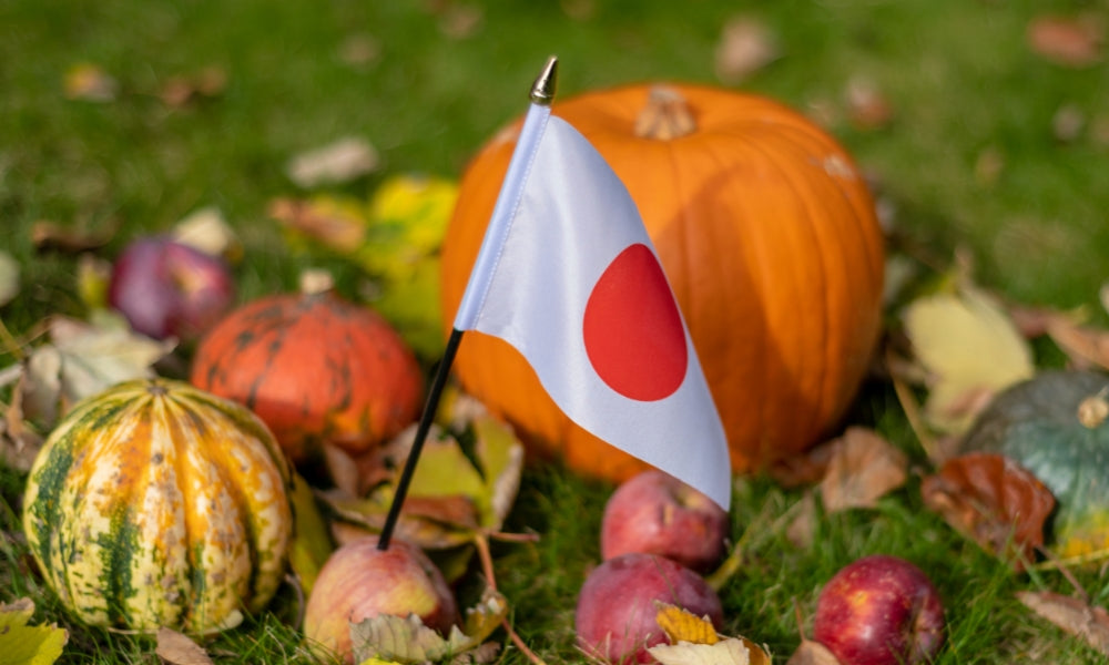 Geschnitzter Halloween-Kürbis neben einer japanischen Flagge zwischen Herbstkürbissen
