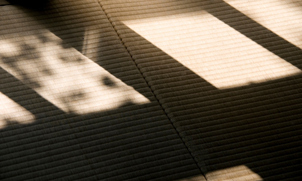 Tatami-Matten: 15 Dinge, die man vor dem Kauf wissen sollte — Größen, Material, Geschichte und Pflege